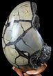 Septarian Dragon Egg Geode - Black Crystals #56395-2